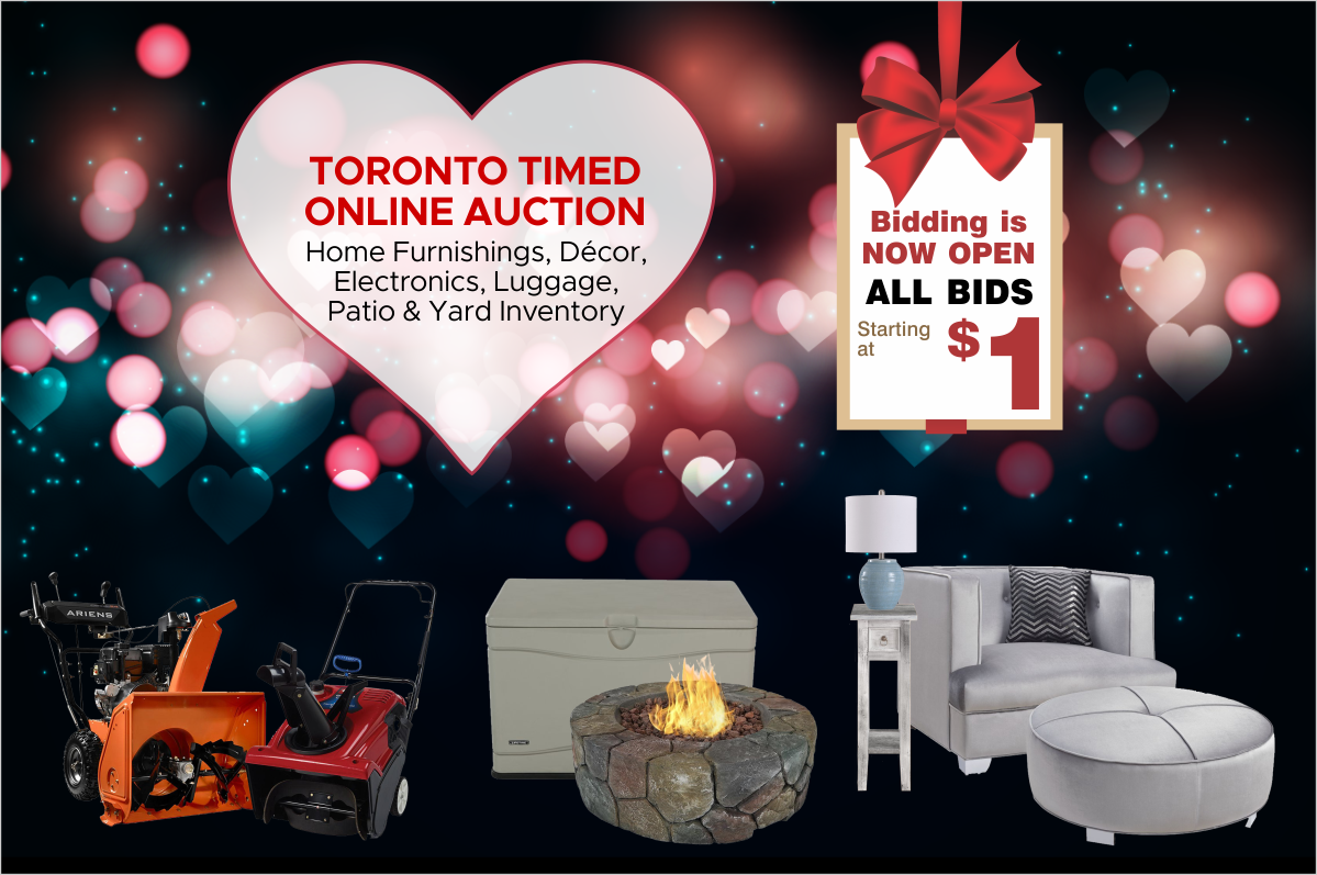 Toronto Timed Online Auction - Home Furnishings, Decor, Electronics, Luggage, Patio & Yard